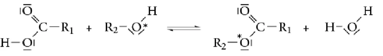 Figure 1 Réaction générale d'estérification 
