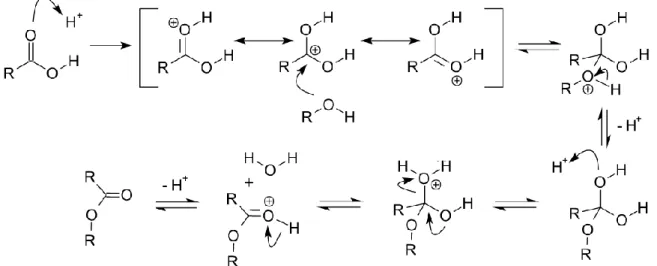 Figure 2 Mécanisme réactionnel d'une estérification