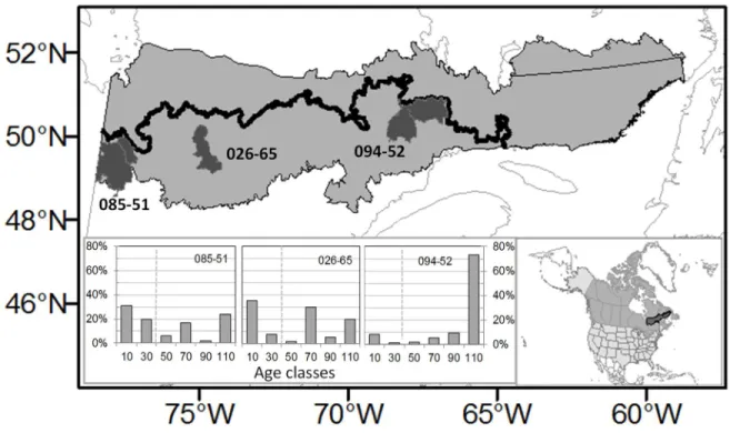 Figure 2.1. Study area, showing the spruce-moss forest (light grey), and three forest manage- manage-ment units (FMUs, dark grey)