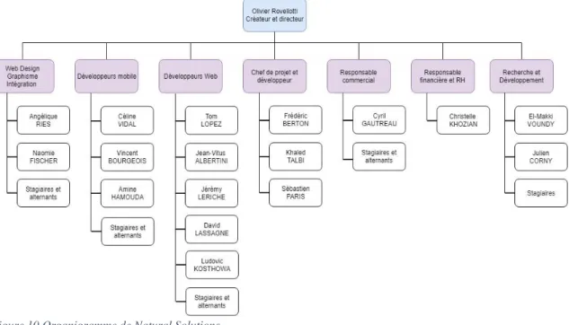 Figure 10.Organigramme de Natural Solutions