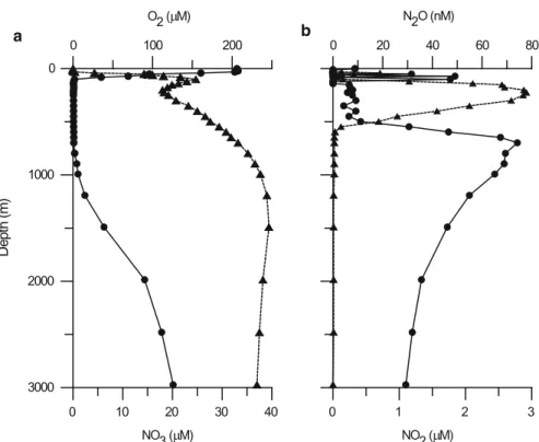 Fig. 3.9 Vertical profiles of (a) dissolved oxygen (circles) and nitrate (triangles), and (b) nitrite (triangles) and nitrous oxide (circles) at 19  N 67  E in the Arabian Sea