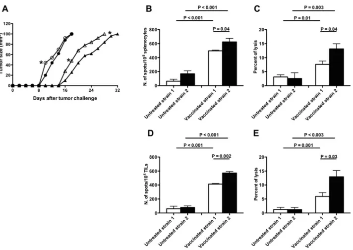 Figure 5: Effects of MAGEB2 vaccination in B16F10 melanoma-challenged C57BL/6 strain 1 and 2 mice