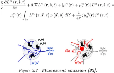 Figure 2.2 Fluorescent emission [92].