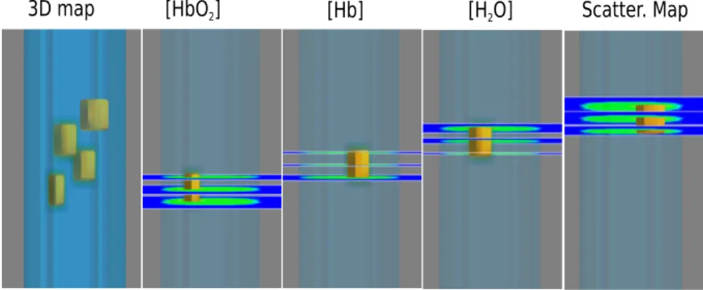 Figure 4.1 3D numerical phantom with one inclusion for each opti- opti-cal parameter (Hb, HbO 2 , H 2 O, and scatterer)