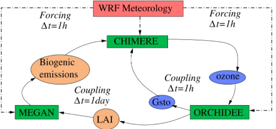 Figure 2.3. – Diagramme de ﬂux du couplage CHIMERE-ORCHIDEE. Les boîtes vertes représentent les modèles couplés