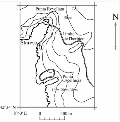 Figure 10: site de prélèvement à 10 m de profondeur en face de STARESO (1) 
