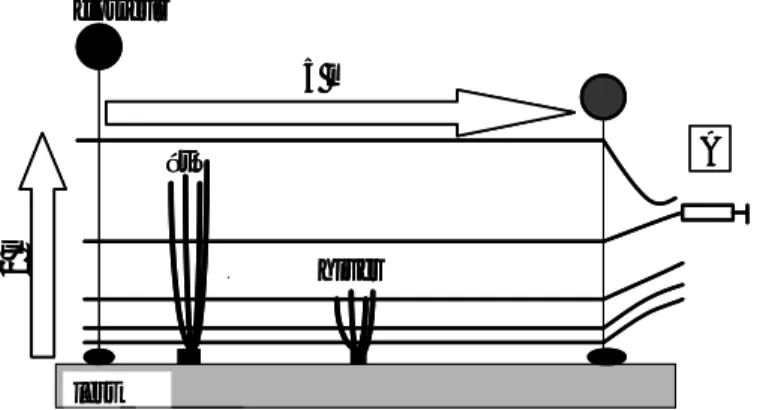 Figure 12: système de prélèvement à distance utilisé pour échantillonner l’eau (colonne et  strate foliaire)