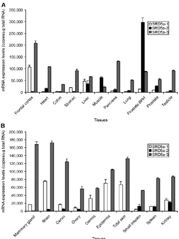 Figure 7: Messenger RNA expression of 5α-reductase isoenzymes in various body tissues  [186]