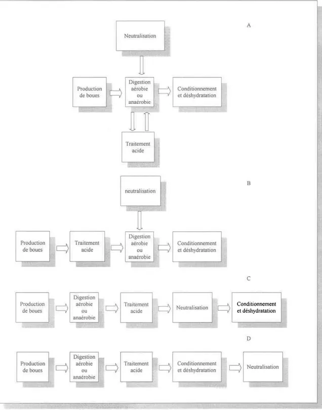 Figure 1  Aperçu  des  diverses  possibilités  d'intégration  du  procédé  acide  dans  une  chaîne conventionnelle de traitement des boues d'épuration 