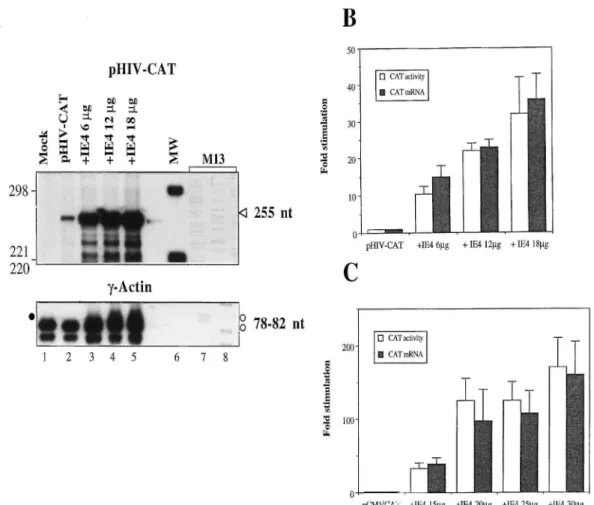 Figure 4 illustrates the effect of IE4 on the level of pHIV-CAT activity versus the increase in pHIV- pHIV-CAT mRNA