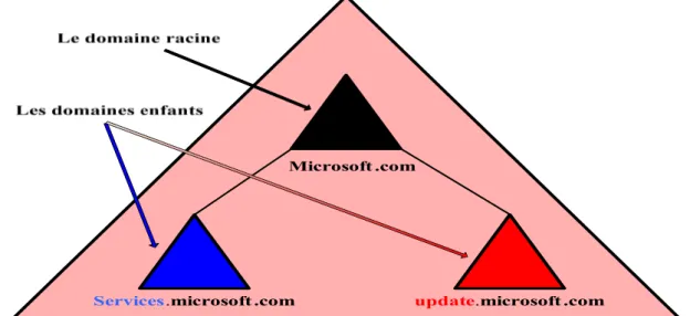 Figure 6 : Exemple de forêt active directory 