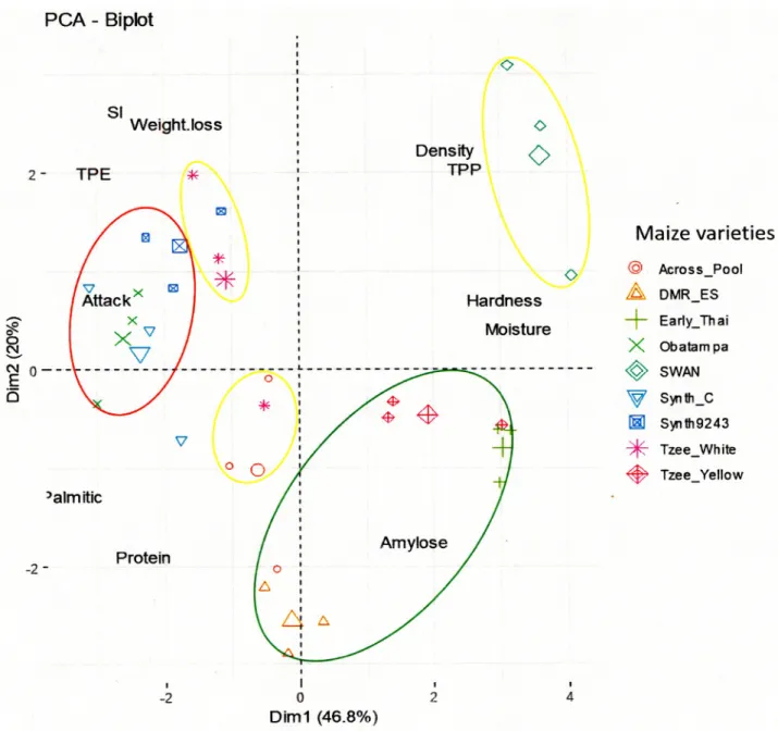 Fig 3. Discrimination of maize varieties by physicochemical and susceptibility parameters (PCA-Biplot)
