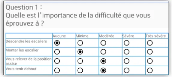 Figure 9 : Exemple de question en grille affichée sur la tablette. 