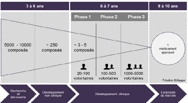 Figure 1.6 Les grandes étapes pour le développement de nouveaux produits  pharmaceutiques