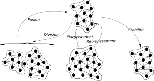 figure 1.4 – Phénomènes de changements auxquels les sous-structures de graphe peuvent être sujettes.