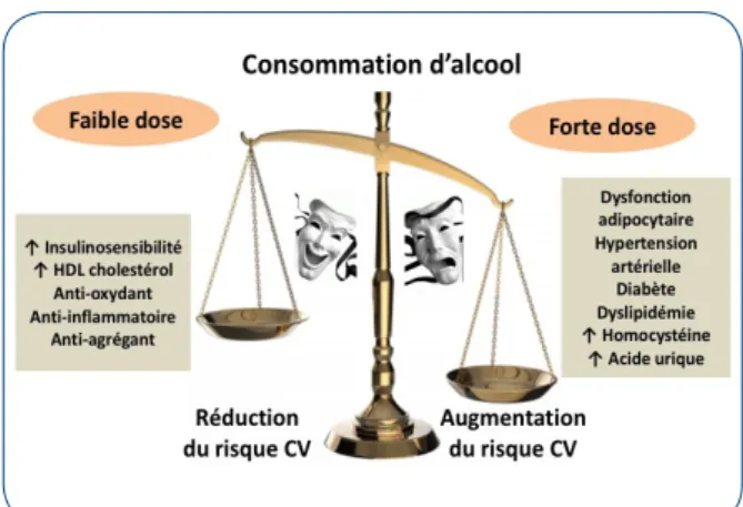 Figure 1. Balance des effets bénéfices/risques  cardiovasculaires en fonction de l’importance de  la consommation d’alcool