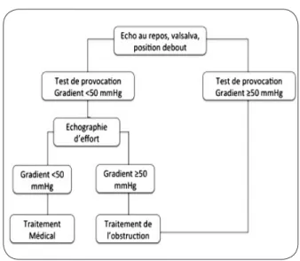 Figure 1. Test de provocation à la recherche   étiologique des symptômes