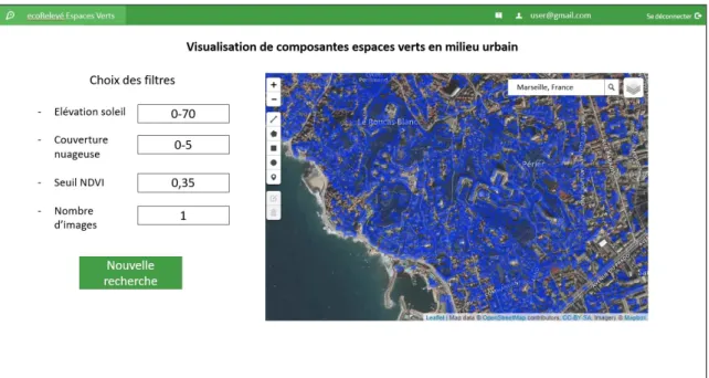 Figure 6 : Interface cartographique "composantes espaces verts" après traitement 