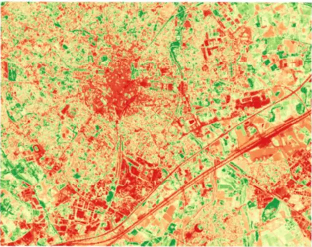 Figure 11 : VDVI Marseille  Figure 10 : NDVI Marseille 