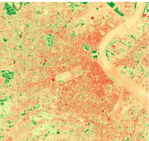 Figure 13 : NDVI Bordeaux  Figure 12 : VDVI Bordeaux 