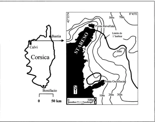 Fig. 1 . Position de station océanographique STARESO sur la côte occidentale de la Corse.