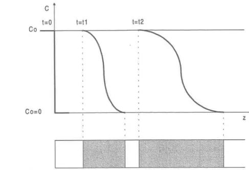 Figure 2.5  Évolution de la zone de transition avec le temps