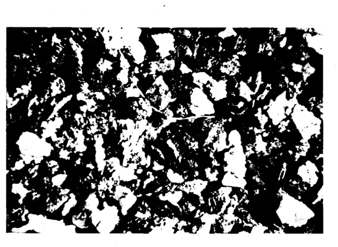 Figure  3.4 .  Echantillon  du sol S-12 (&lt; 2 mm) vtr au microscope  avec  un grossissement  de 200 X