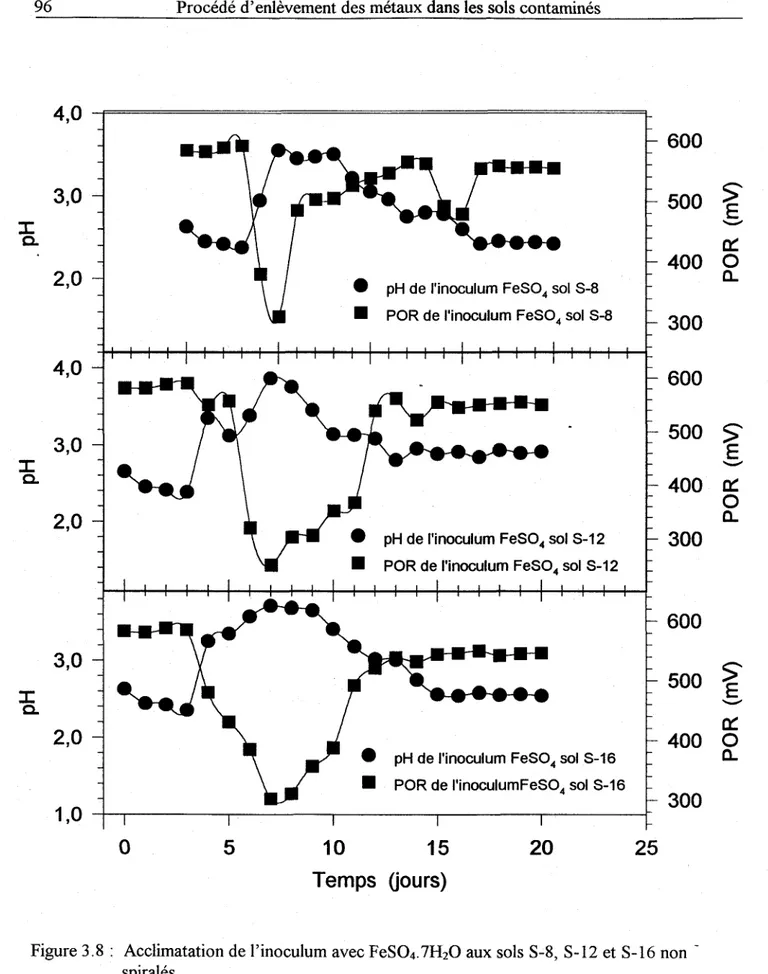Figure 3.8 :  Acclimatation de l'inoculum avec FeSO+.7HzO  aux sols S-8, S-12 et S-16 spiralés.