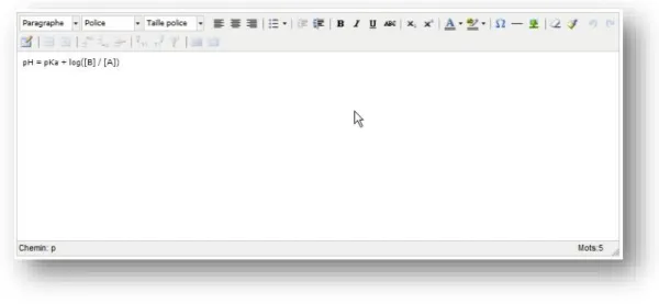 Figure 7 : Outil LabDoc de texte TinyMCE. 