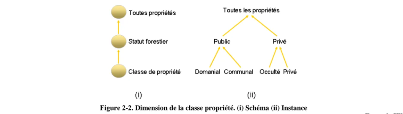 Figure 2-2. Dimension de la classe propriété. (i) Schéma (ii) Instance 