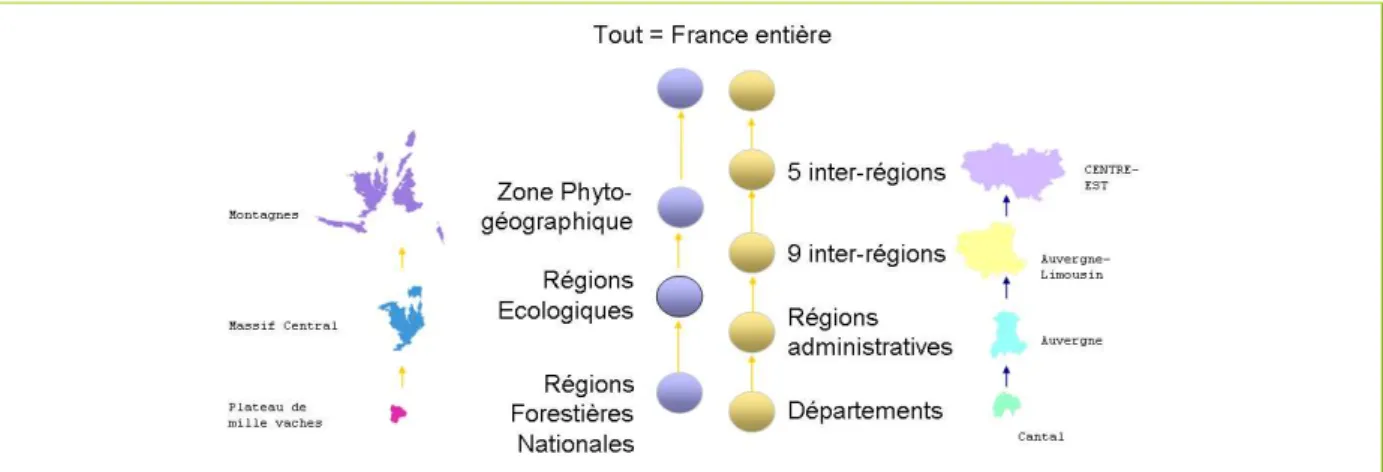 Figure 2-4. Différentes dimensions spatiales 