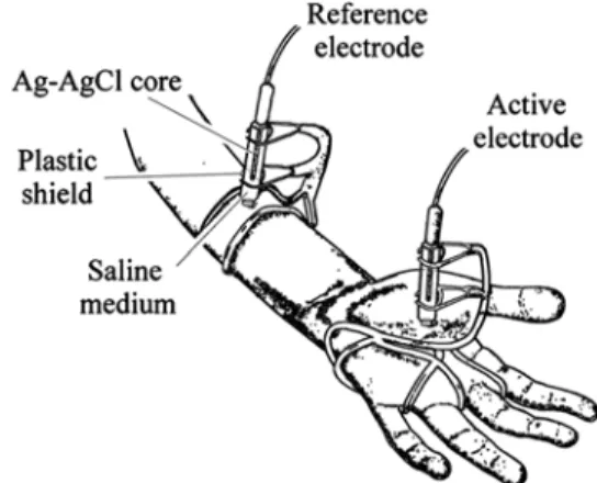 FIGURE 1. Locations of electrodes on left hand and arm for skin potential level (SPL) recording