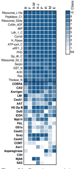 Figure  2.1-  Transcript  accumulation  profiles  from  the  PiceaGenExpress  database  (Raherison et al