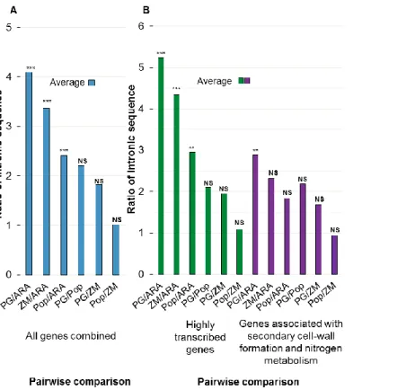 Figure  2.3-  Comparative  analysis  of  total  intron  length  in  P.  glauca,  A.  thaliana,  P