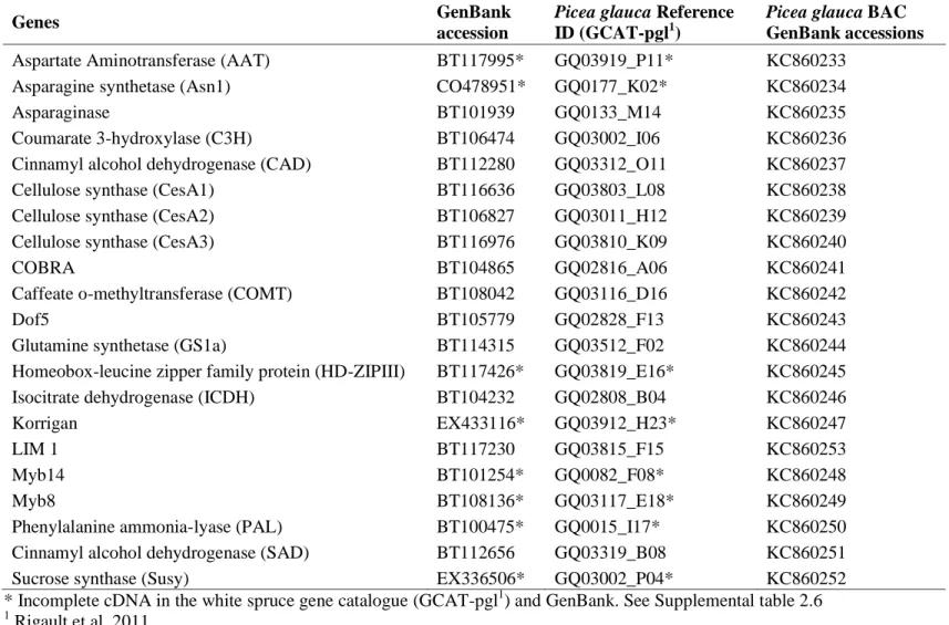 Table  S2.2-  Genes  associated  with  secondary  cell-wall  formation  or  with  nitrogen  metabolism  in  P