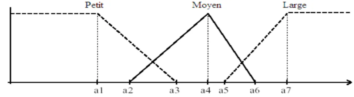 Figure 3.3 : Présentation des domaines d’appartenance.