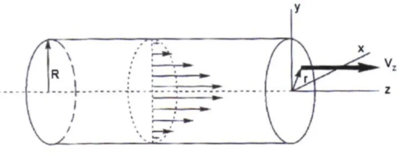 Figure 2.1 : Profil parabolique de la vitesse d'un liquide en mouvement dans un canal  Cette distribution radiale de la vitesse provoque la dispersion hydrodynamique d'un traceur  lors de son déplacement tout au long du canal [1, 33, 34]