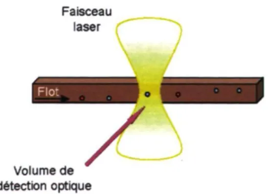 Figure 2.2 : Détection optique de particules uniques par microscopie de fluorescence  Chapitre 2 : Principes théoriques 