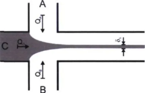 Figure 2.3 : Formation d'un focus hydrodynamique dans une configuration en croix  À l'intersection, tout le liquide est dirigé dans le canal de sortie