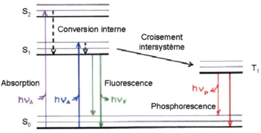 Figure 2.8 : Diagramme de Jablonski, transitions électroniques de la fluorescence 