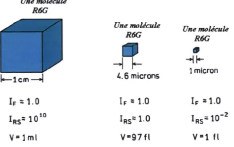 Figure 2.9 : Intensité Raman de l'eau relative à la fluorescence d'une molécule de rhodamine  6G pour divers volumes d'analyse [29] 