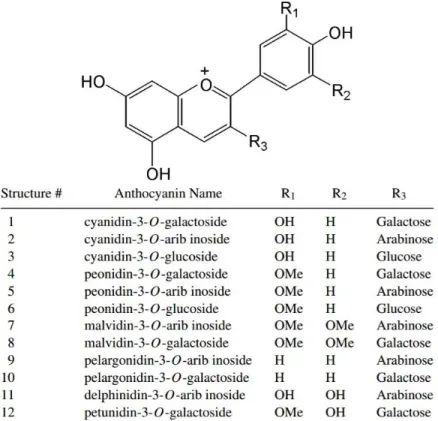 Figure 4. Structures chimiques des anthocyanes de la canneberge (He et al., 2008) 