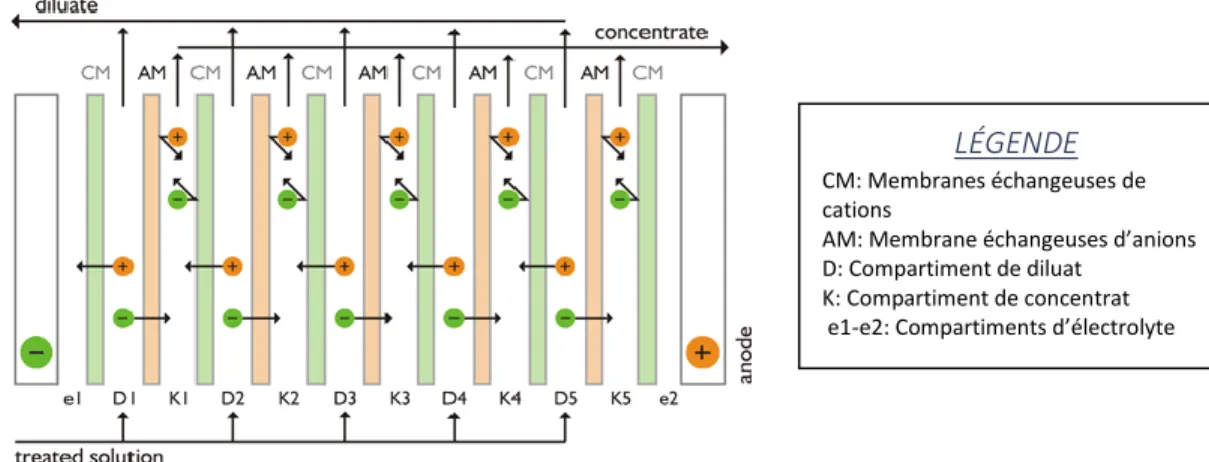 Figure 7. Configuration utilisée au sein d'un module d'électrodialyse pour le Principe de  concentration/dilution (MEGA, 2006) 