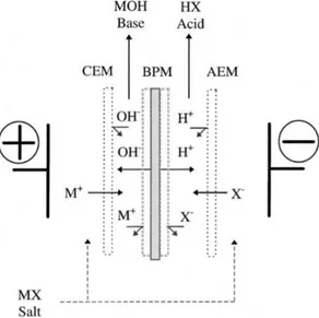 Figure 8. Production d'acide et de base au sein d'une cellule électrodialytique. CEM:membrane  échangeuse de cations