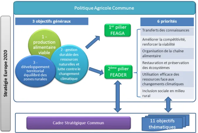 Figure 9 - La place de la PAC dans l'architecture Europe 2020 