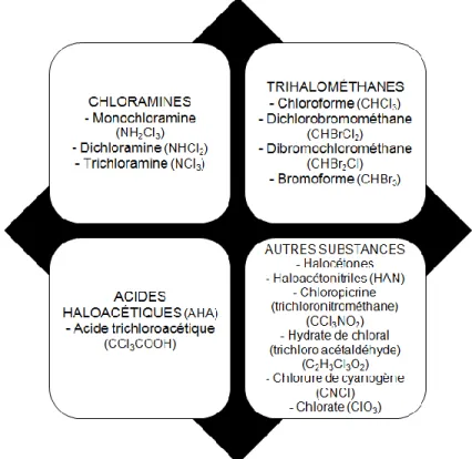 Figure 4 Principaux sous-produits de la chloration des piscines 