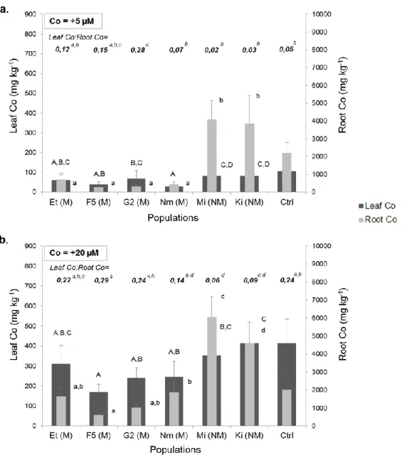 Figure 4 Leaf and root Co concentrations in four metallicolous and two non-metallicolous  306 