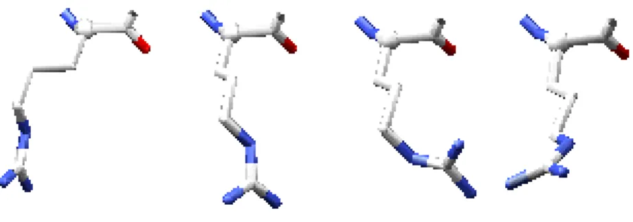 Figure 5: Different rotamers: the side chain has different possible geometries
