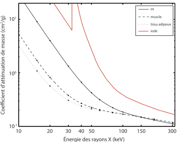 Figure 1.8 Coefficient d’atténuation de masse de l’iode et de tissus humains 