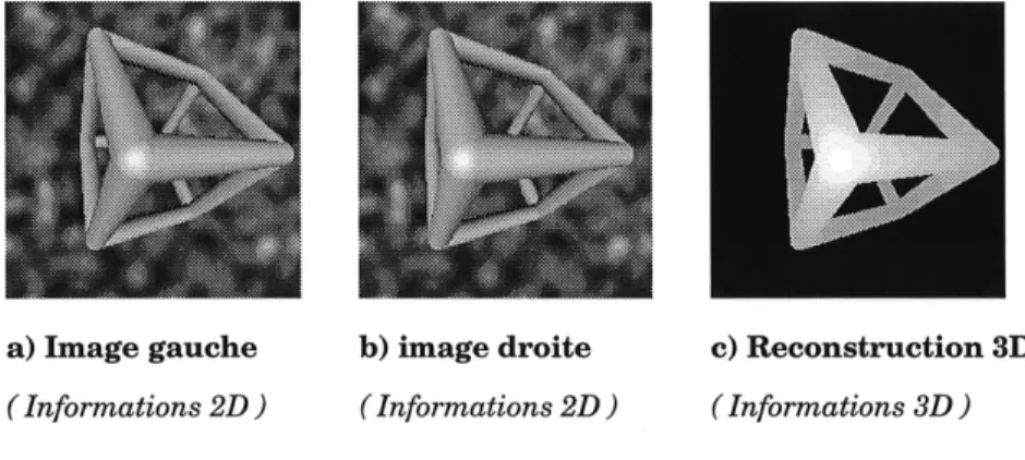 Figure 1.2 - Reconstruction 3D en utilisant une paire d images stereoscopiques.